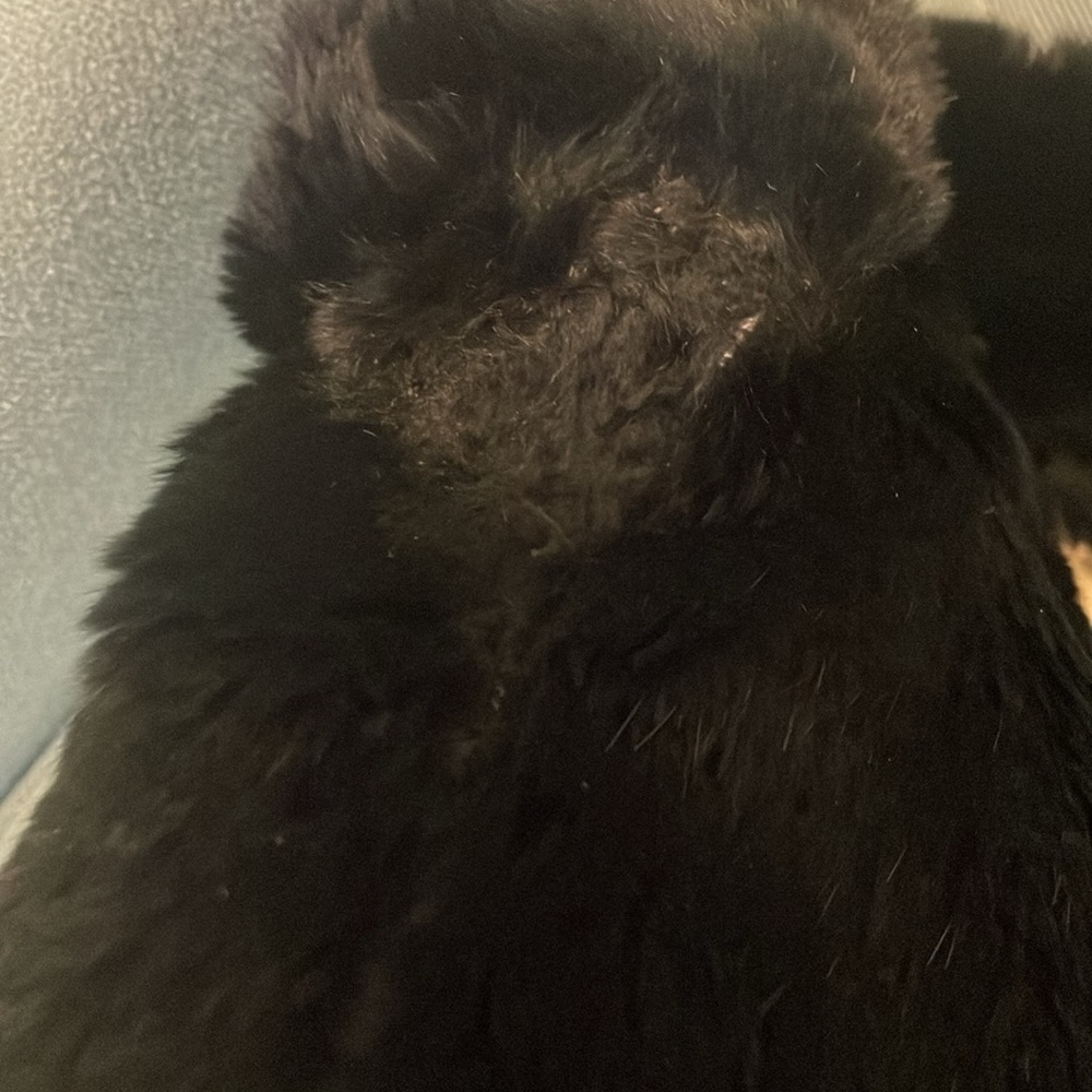 Rabbit Fur Jacket - image 6